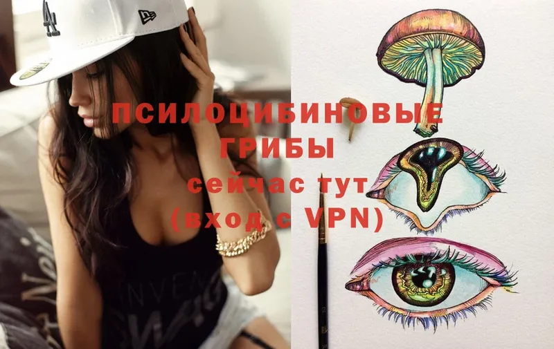 Псилоцибиновые грибы Psilocybine cubensis  как найти наркотики  Ясногорск 